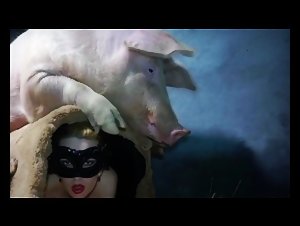 Bestiality Pig Fuck Girl