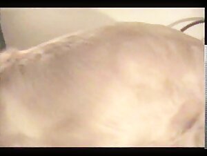 Thumb 6