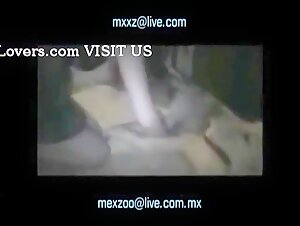 mexzoo compilation