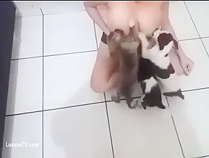 Dog breastfeeding  milk 3