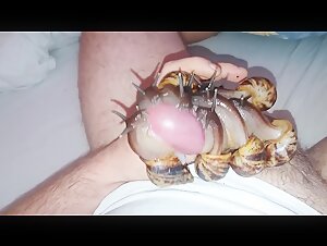 Thumb 7