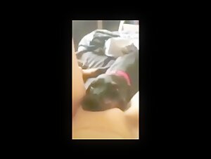 Dog Licking Pussy Compilation