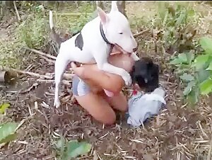 Na Floresta com o Pitbull