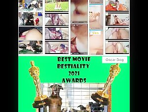 best awards bestiality zoo dog  2