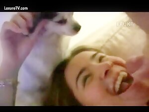 Doggy licks facial