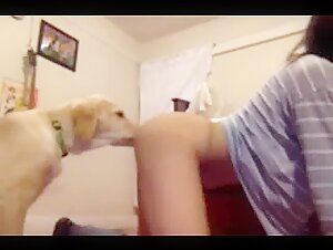 dog licking teen