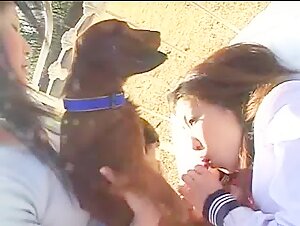 Japanese girls suck little dog