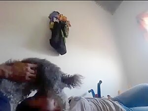 Dog enchendo a boca da novinha de porra