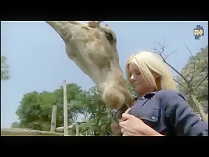 Riley Steele Giraffe