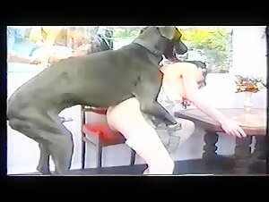 bfi animalsex 
