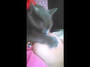 cat suck