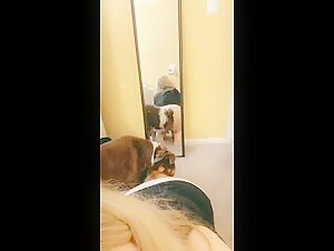 Blonde Mirror Licks