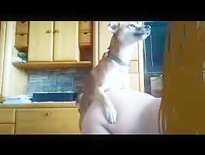 Doggie Quickie with milf