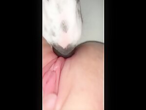 Dog licks pussy teen 3