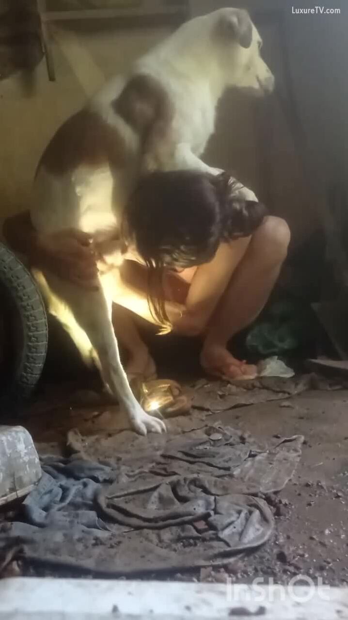 Spoiling street dog - BestialitySexTaboo - Bestiality Sex Taboo