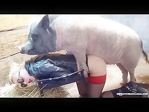 Boar loves his slut