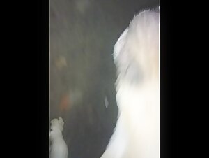 Thumb 10