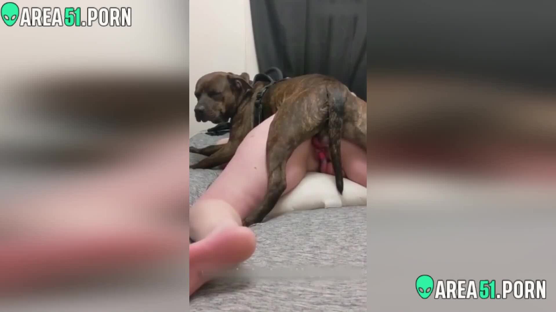animal porn with wife HUSBAND LET A DOG FUCK HIS BIG ASS WIFE - BestialitySexTaboo - Bestiality  Sex Taboo