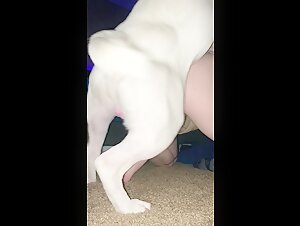 Beautiful teen love to fuck her dog