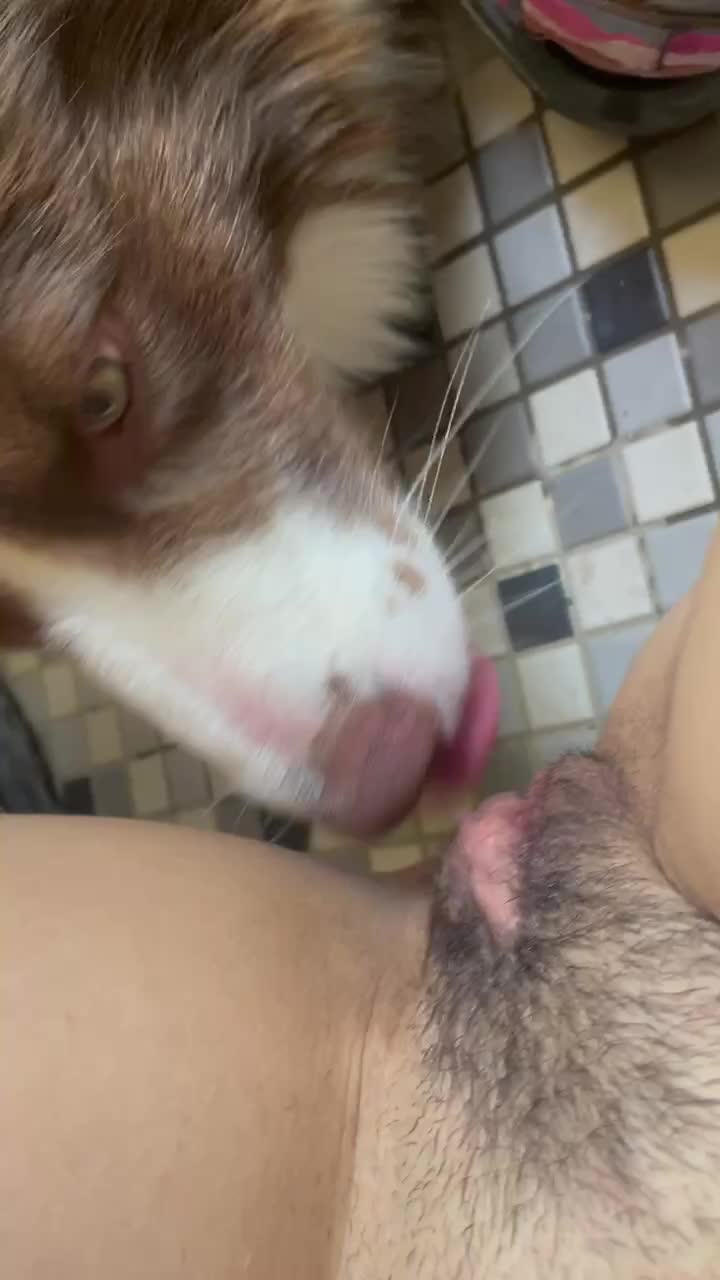 dog licking teen pussy Dog lick hairy pussy - BestialitySexTaboo - Bestiality Sex Taboo
