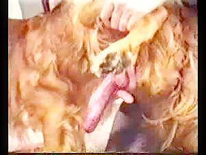 Thumb 10
