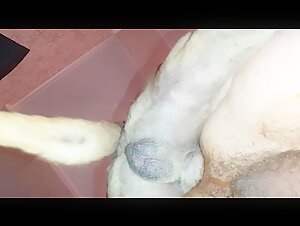 Thumb 7