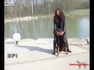 dog sex
