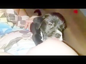 Feeding a puppy fresh milk