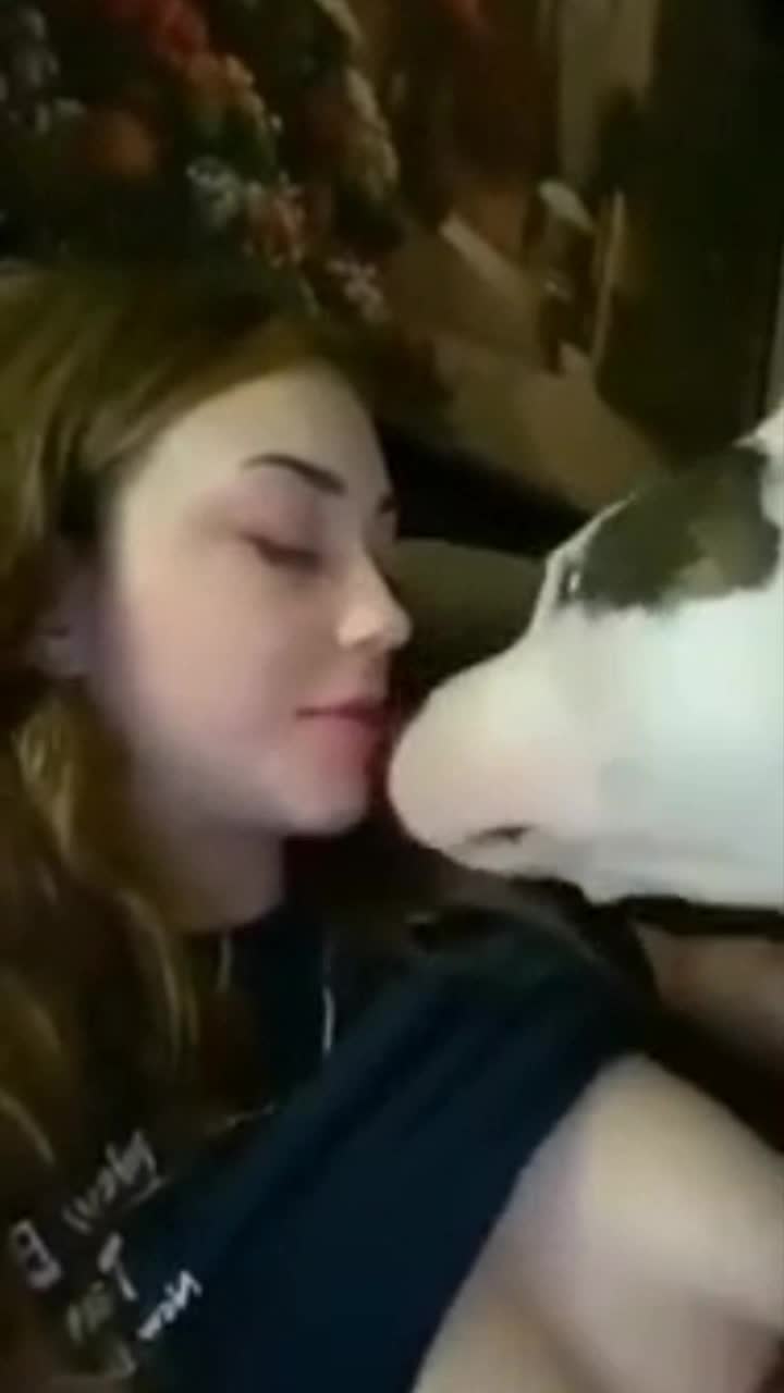 LexiBaby prank dog kiss compilation - BestialitySexTaboo - Bestiality Sex  Taboo