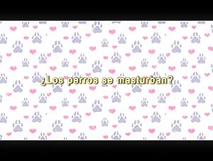 Guide sex dog 2