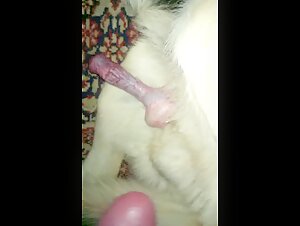 Thumb 8