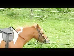 ponyriding