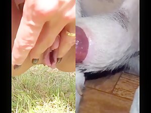 Big labia horny for dog cocks