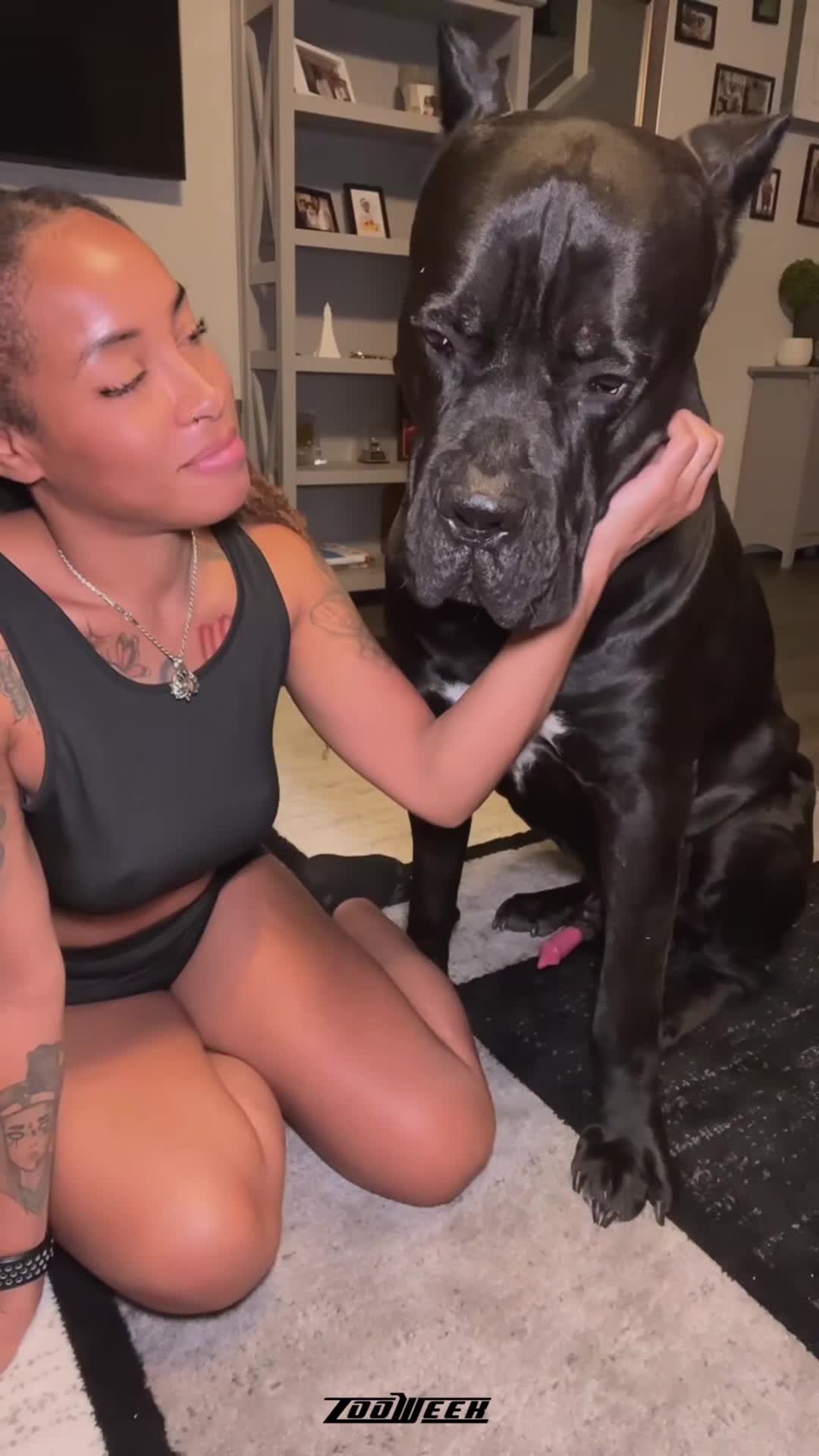 Big dog cock Lucky girl - BestialitySexTaboo - Bestiality Sex Taboo