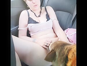 backseat pleasure 1.2