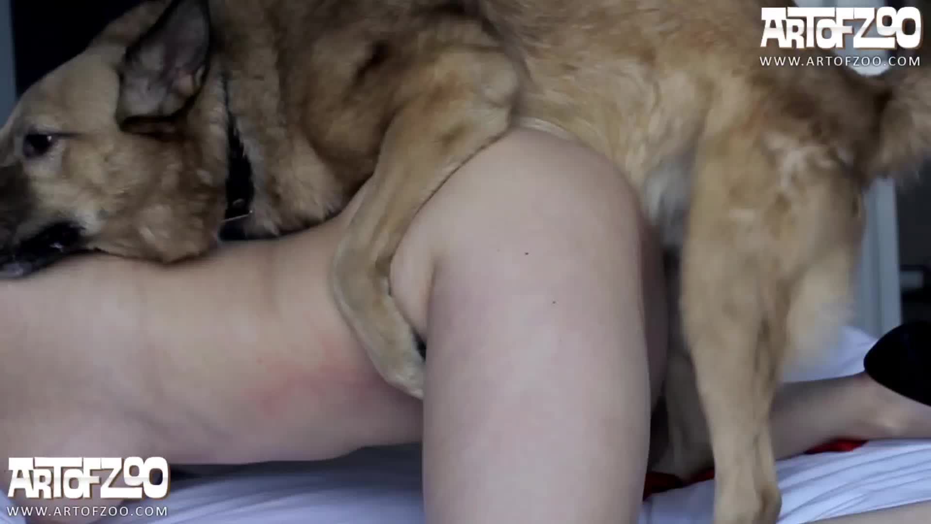 Nana compilation - BestialitySexTaboo - Bestiality Sex Taboo