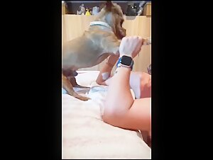 Good girl suck little dog