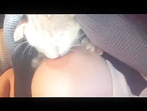 Cat Sucking Tits