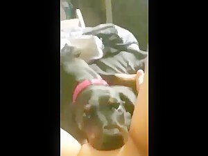 Black Dog Licks Deep 1