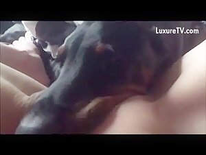 Black Dog Licks Deep 5