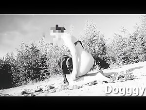 Doggy in the beach