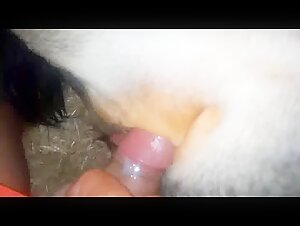 Thumb 8