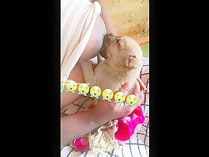 Breastfeeding little puppy