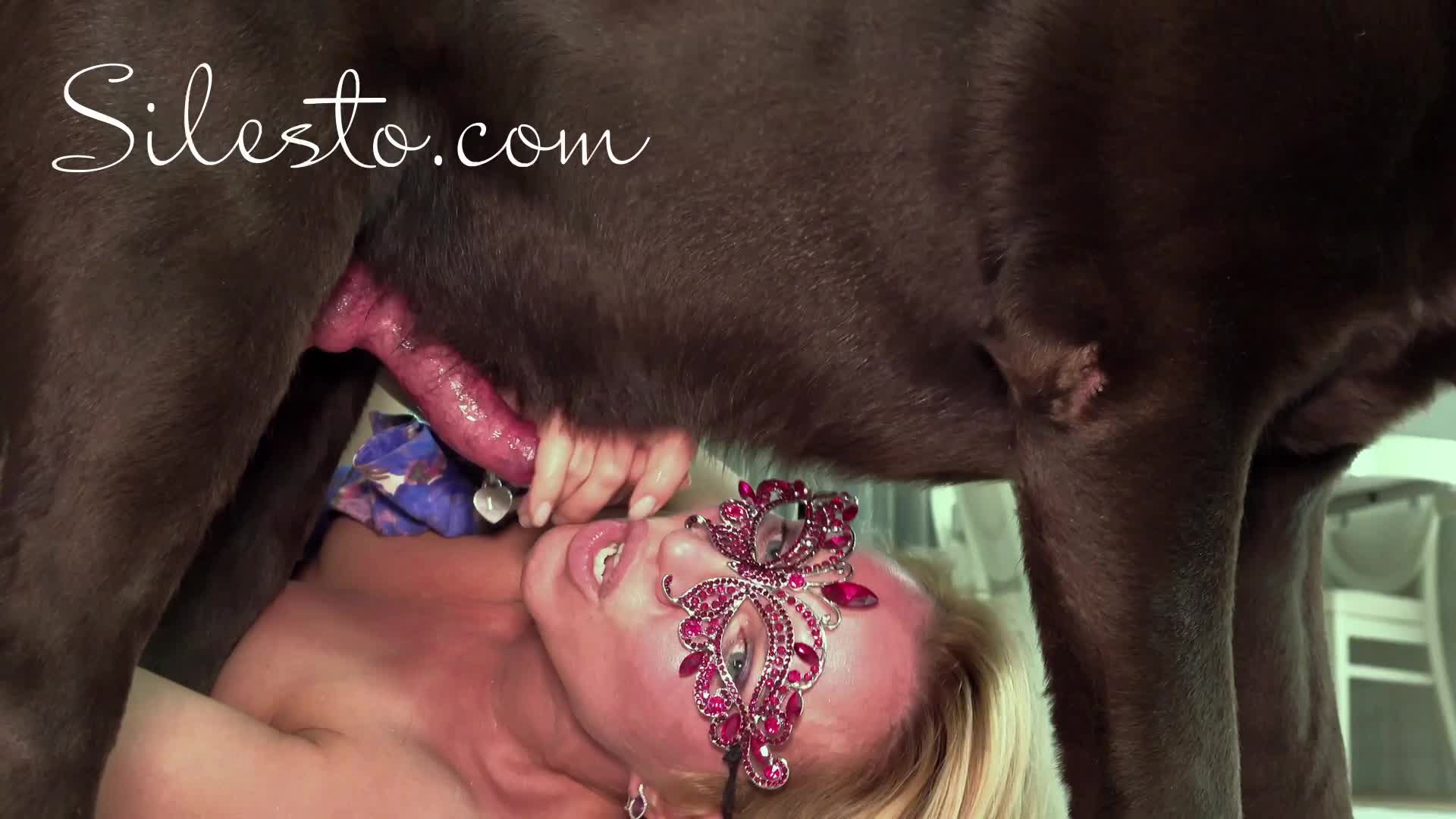 Video sex hd animal