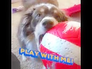 Play with me