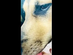 Dog licks pussy in car (all parts)