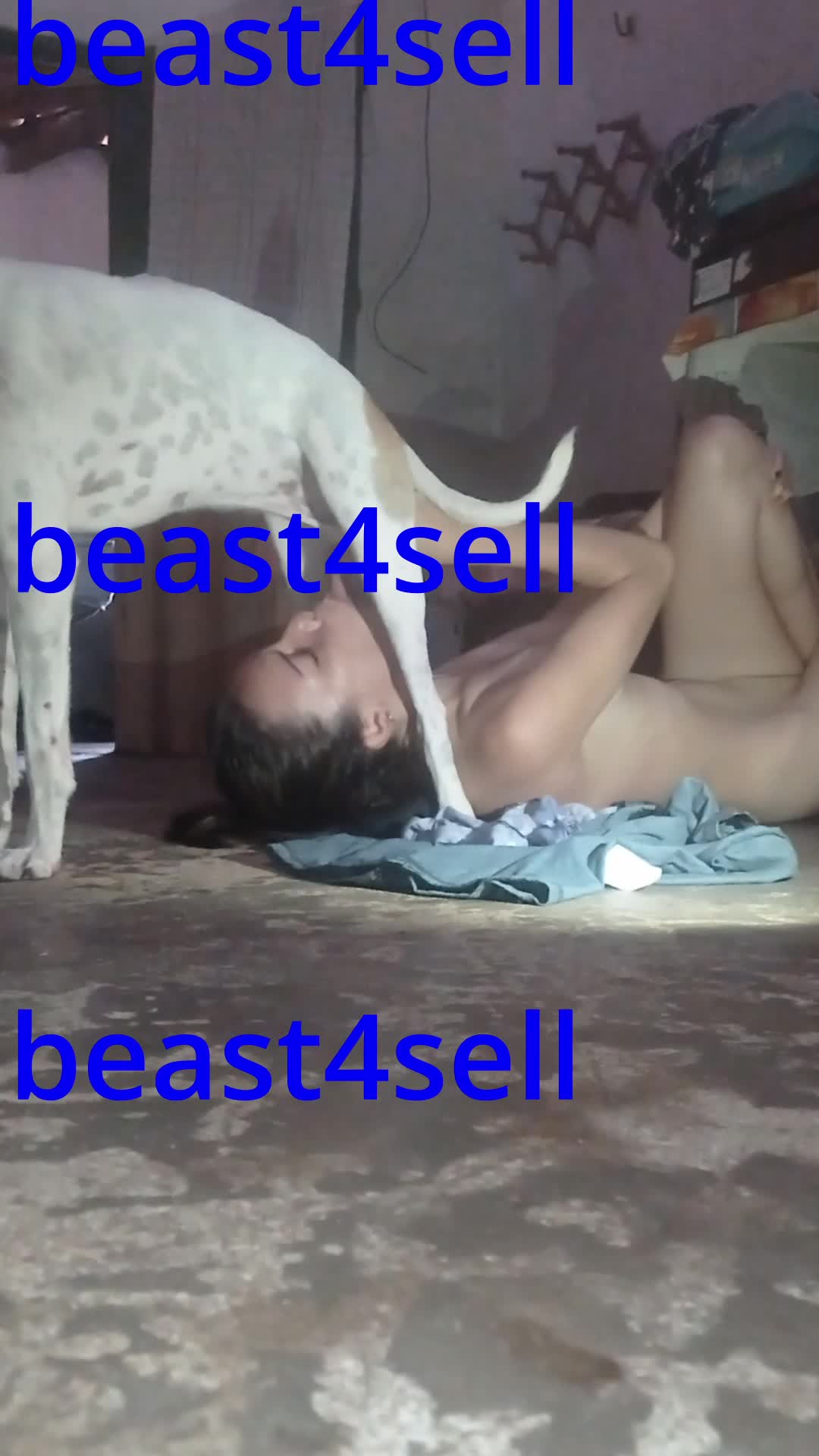 Punk Official Dropbox - BestialitySexTaboo - Bestiality Sex Taboo