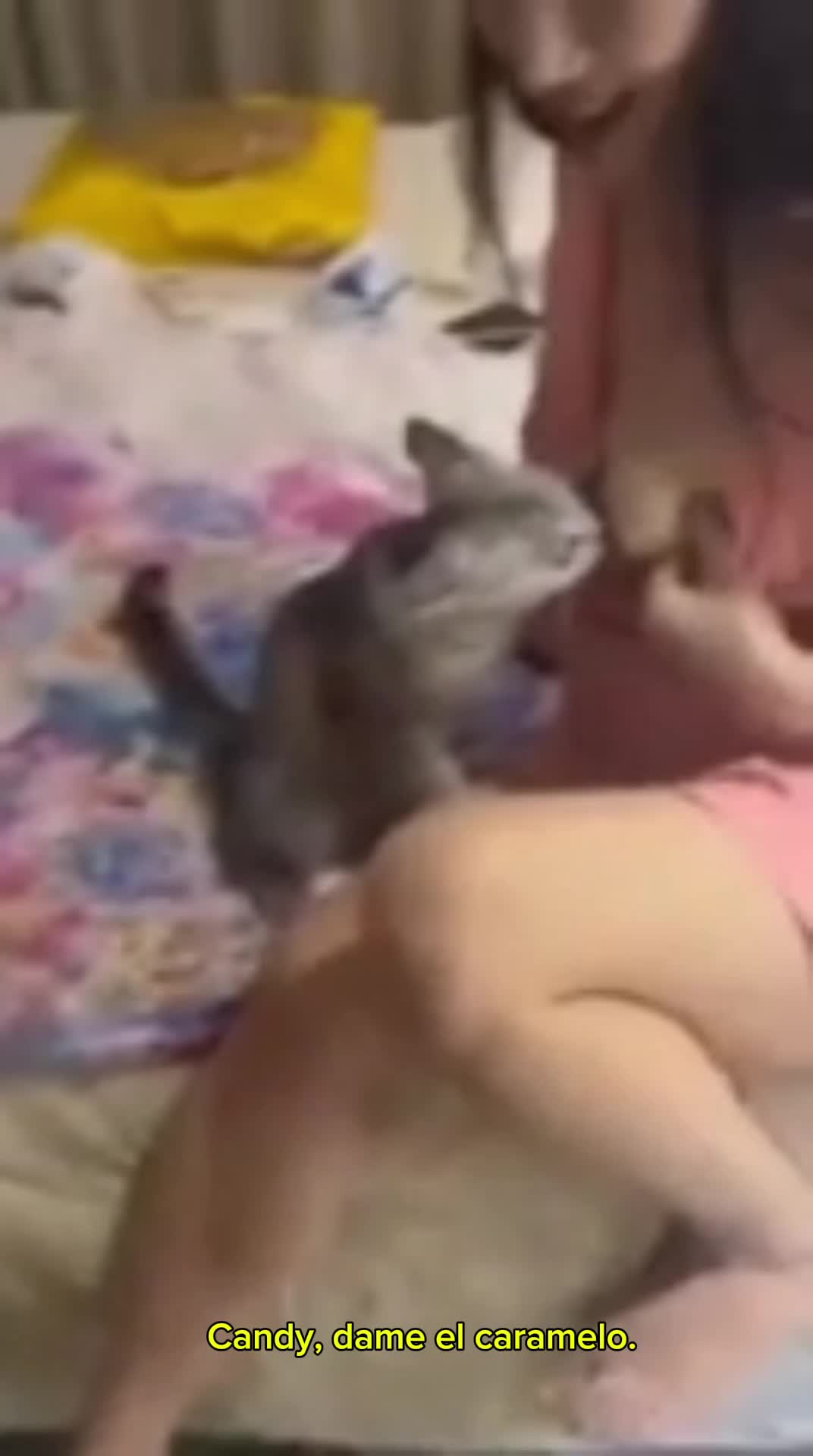 Gato chupando las tetas de una chica de China | SUB  Español-BestialitySexTaboo - Bestiality Sex Taboo