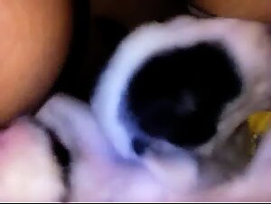 Thumb 7