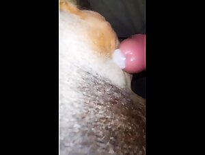 Thumb 9